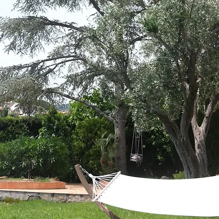 Bed & Breakfast Location De Les Allamandas Mandelieu